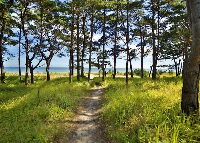 Apartment Fischerloft Im Haus Hiddensee Prora